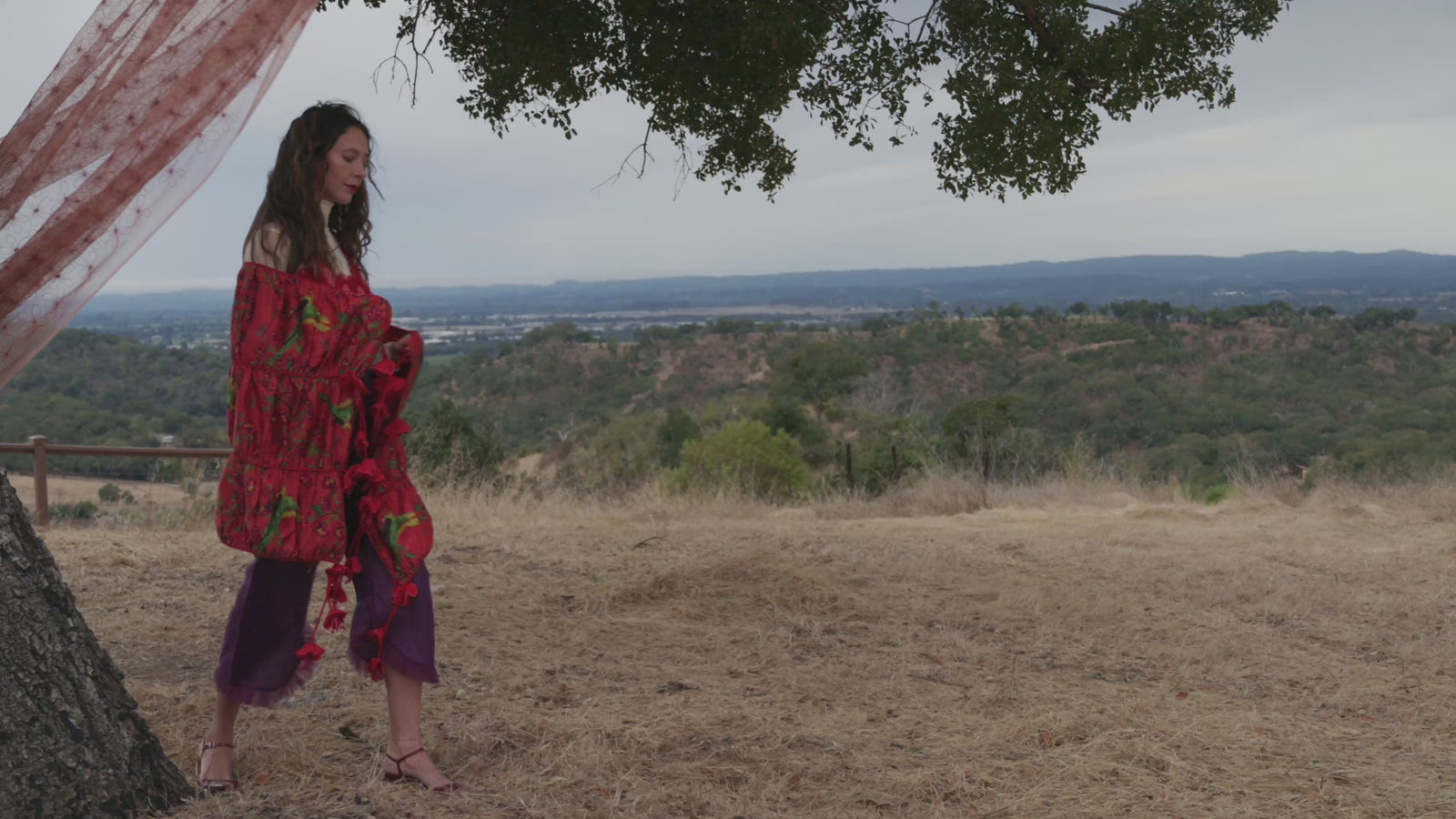 Pickled Beet Tailored Pant, product video